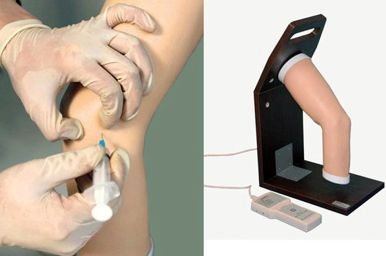 Geavanceerde PVC-gewrichts-inter-articulaire injectie-trainingsimulator voor menselijk elleboogmodel