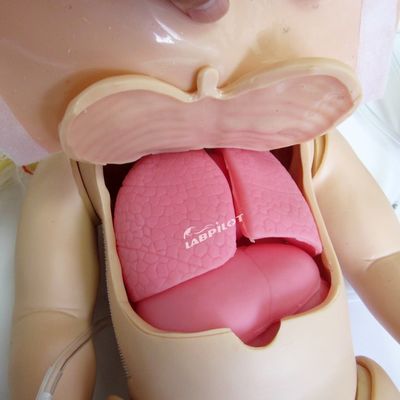 Geavanceerde PVC-poppet voor volledig functionele pediatrische CPR en simulatie van zuigelingenverzorging