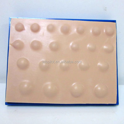 Praktijk Chirurgisch huidmodel Groot Suring Pad voor Abcess Incision Drainage Praktijk