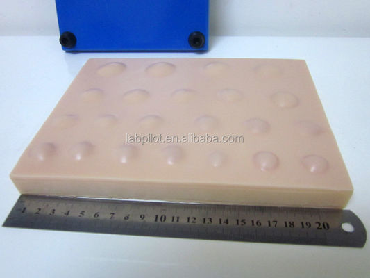 Praktijk Chirurgisch huidmodel Groot Suring Pad voor Abcess Incision Drainage Praktijk