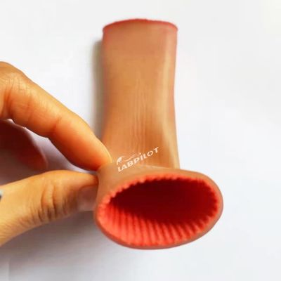 Intestinale Anastomose-trainingsmodel voor medische studenten Laparoscopische hechting