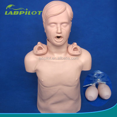 Volwassen CPR-trainingsmannequin met geavanceerde open luchtwegen en Heimlich Manoeuvre Simulatie