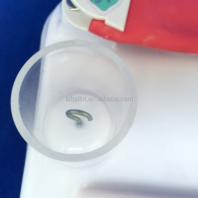 Patiëntenverzorging Demonstratie Mensenlevensgrootte Intestinale Anastomose en hechting Praktijk Pad
