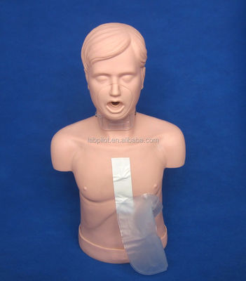 Volwassen CPR-trainingsmannequin met geavanceerde open luchtwegen en Heimlich Manoeuvre Simulatie