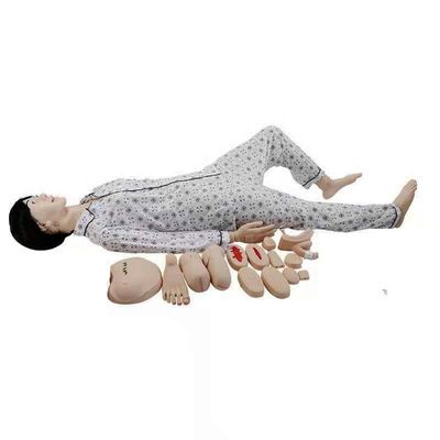Geslachtsspecifieke genitale mannequin voor medische wetenschappen Training Caregiver Edition