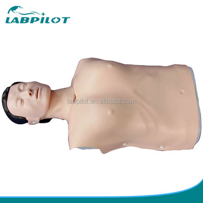 Realistische menselijke simulatie Noodvaardigheden Training Mannequin Man Half Body CPR Dummy