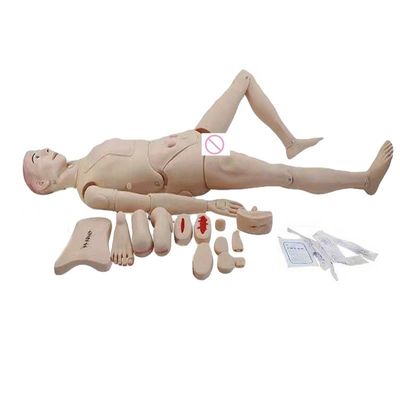 Geslachtsspecifieke genitale mannequin voor medische wetenschappen Training Caregiver Edition