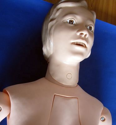 Interne organen Verpleegkunde Opleiding Mannequin voor menselijke levensgrootte Patiëntenzorg Demonstratie
