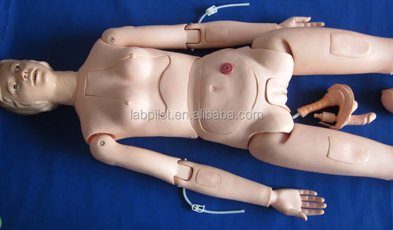 Interne organen Verpleegkunde Opleiding Mannequin voor menselijke levensgrootte Patiëntenzorg Demonstratie