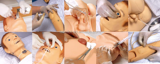 Volledig lichaam Mannequin voor het gezondheidscentrum Medische verpleegkunde Training Dummy Practice Simulatio