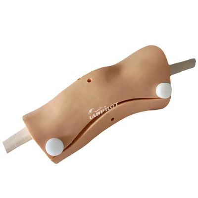 Geavanceerde knieartroscopie-model Clinical Nursing Skills Training met geavanceerd PVC plastic