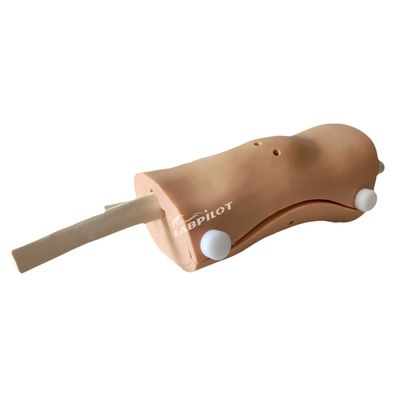 Geavanceerde knieartroscopie-model Clinical Nursing Skills Training met geavanceerd PVC plastic