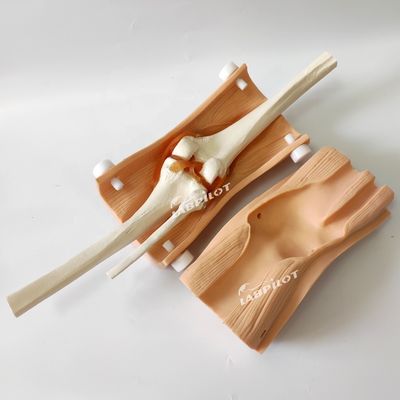 Geavanceerde knieartroscopie-model Clinical Nursing Skills Training met geavanceerd PVC plastic