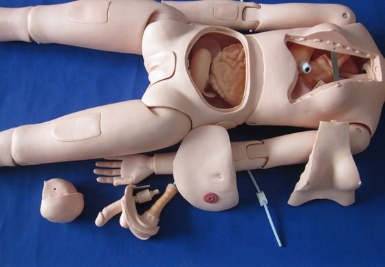 Mensengrootte Verpleegkundig mannequin voor patiënten Zorgdemonstratie Volledig lichaam Vrouwelijk