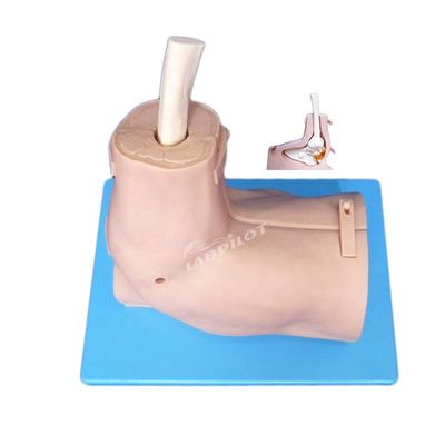 Medisch onderzoek training simulator voor schouder arthroscopie Hospitals' top keuze