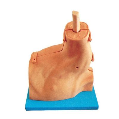 Medisch onderzoek training simulator voor schouder arthroscopie Hospitals' top keuze