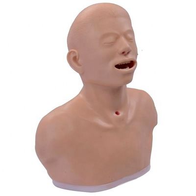 Geavanceerde PVC schildklieronderzoek Training Model Endocrine Inspectie Onderwijsinstrument