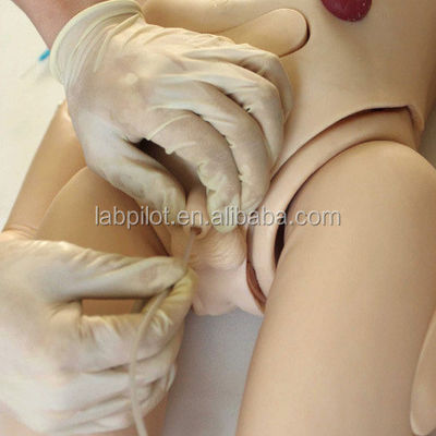 Omvattend mannequin voor moederschap en kinderverzorging voor geavanceerde PVC-CPR-ECG-opleiding
