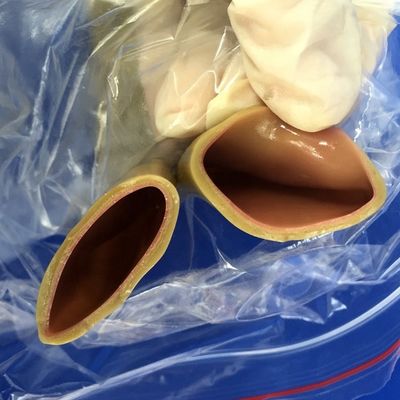 Chirurgische vaardigheden trainingsmodel voor intestinale anastomose realistische menselijke simulatie