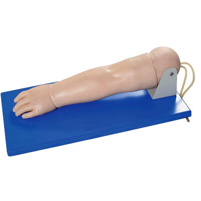 Geavanceerde pediatrische venenetuctie Arm voor patiënten Zorg Demonstratie Menselijke levensgrootte