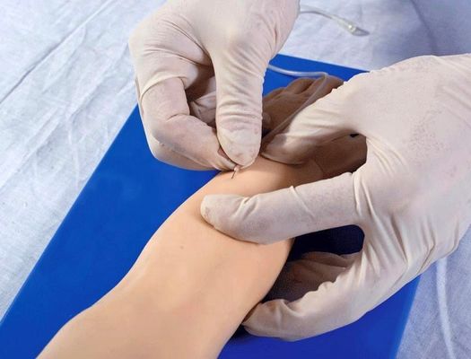Geavanceerde pediatrische venenetuctie Arm voor patiënten Zorg Demonstratie Menselijke levensgrootte