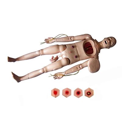 Mannen- en vrouwenverpleegkundige opleiding Mannequin voor flexibele patiëntenzorg Demonstratie