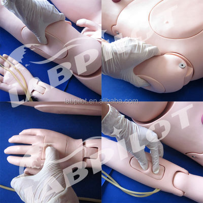 Mannen- en vrouwenverpleegkundige opleiding Mannequin voor flexibele patiëntenzorg Demonstratie