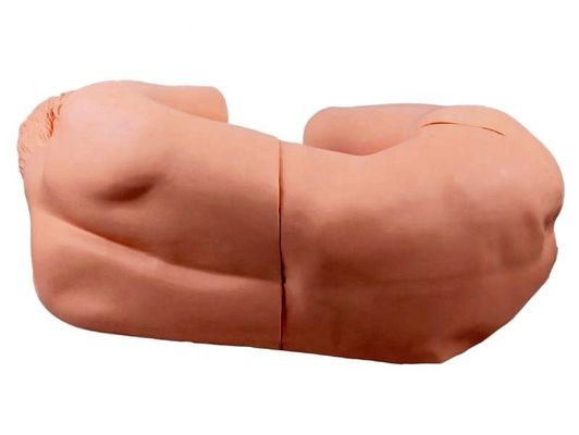 Gevorderd medisch model Lumbalpunctie Vaardighedenopleiding voor klinisch verpleegkundig onderwijs