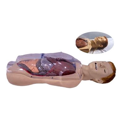 Ziekenhuis Clinic College Verpleegkundige School Mensleven Grootte Sengstaken-Blakemore NG Tube Verpleegkundige Training Simulator