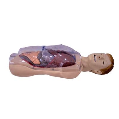 Ziekenhuis Clinic College Verpleegkundige School Mensleven Grootte Sengstaken-Blakemore NG Tube Verpleegkundige Training Simulator