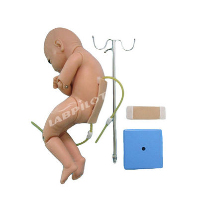 Medische wetenschappen Lumbalpunctie voor baby's Anesthesie Training Simulator Mannequin