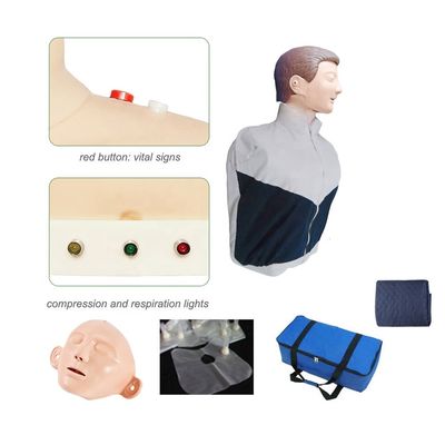 Cardiopulmonale reanimatie praktijk dummy half-lichaam model voor eerste hulp training