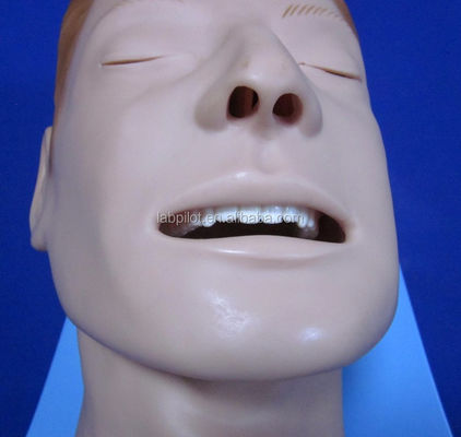Intubatie training simulator uitgebreide luchtweg model met menselijke levensgrootte manneken