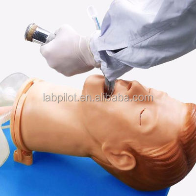 Intubatie training simulator uitgebreide luchtweg model met menselijke levensgrootte manneken