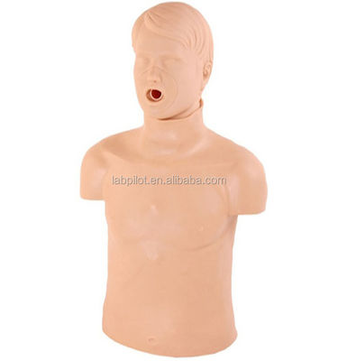 Realistische menselijke manneken voor basiskennis in noodgevallen Half-body CPR training