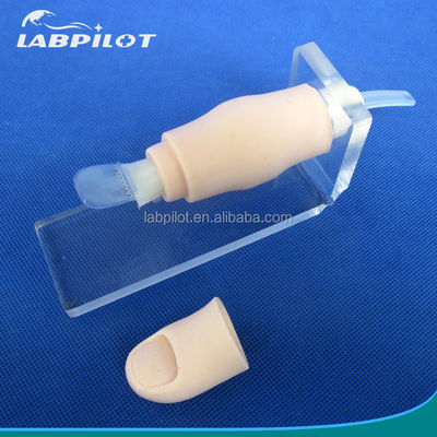 Medische wetenschappen 2017 Ingegrown Toenail Simulator Partial Nail Avulsion Training Finger Model