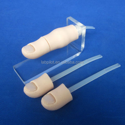 Medische wetenschappen 2017 Ingegrown Toenail Simulator Partial Nail Avulsion Training Finger Model