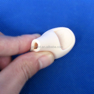 Medische wetenschappen 2017 Ingegrown Toenail Simulator Partial Nail Avulsion Training Finger Model