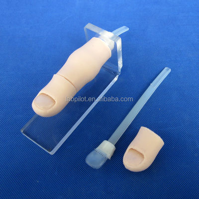 Medische wetenschappen 2017 Ingegrown Toenail Simulator Partial Nail Avulsion Training Finger Model