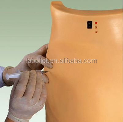 Geavanceerde PVC elektronische bil injectie simulator IM training model