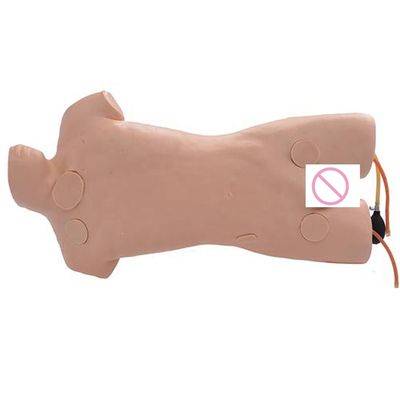 Geavanceerde PVC Human Care Training Mannequin voor simulatie van punctie van de buitenste jugularvene