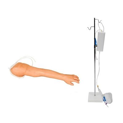 Realistisch armmodel voor venenetuctie- en injectieopleiding voor zorgverleners