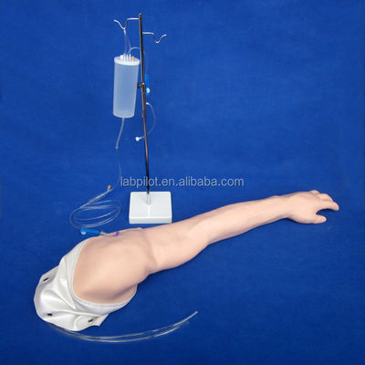Realistisch armmodel voor venenetuctie- en injectieopleiding voor zorgverleners