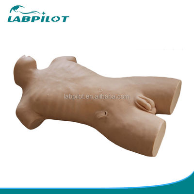 Mensengrootte levend wondpopje voor training in centrale venecturele gezondheidszorg