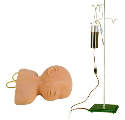 Neonatale Scalp Venipuncture Training Model Het voordeel van menselijk levensgrootte ontwerp