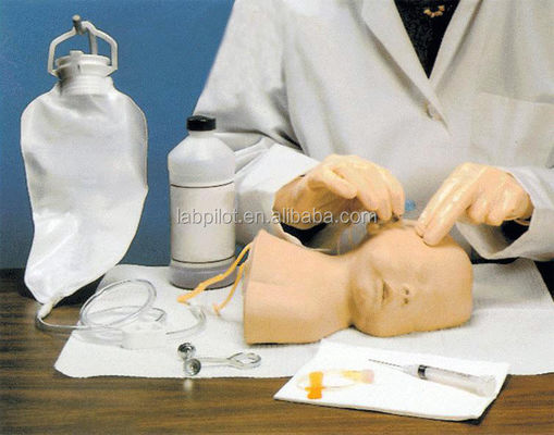 Neonatale Scalp Venipuncture Training Model Het voordeel van menselijk levensgrootte ontwerp