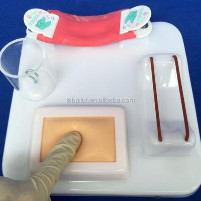 Geavanceerd PVC-multifunctioneel model voor opleiding in chirurgische vaardigheden voor uitgebreide opleiding