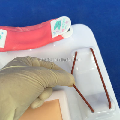 Geavanceerd PVC-multifunctioneel model voor opleiding in chirurgische vaardigheden voor uitgebreide opleiding