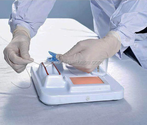 Geavanceerd PVC-multifunctioneel model voor opleiding in chirurgische vaardigheden voor uitgebreide opleiding