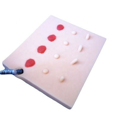 Perfect Your Patients Care demonstratie met Manikin en huidlaesies Training Model